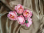 12 pcs Camellia Artificial Flower Heads Rose Flowers for Home Decoration,Artificial Peony Silk Flowers, Gift, Mandir Pooja Table, Cake Decor, Bouquet Making, Backdrop, DIY Art Craft (Pack of 12)