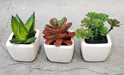 1 Pc Succulent Small Mini Plants with aesthetic ceramic cement pot, Faux flower indoor Plant with Pot Add Charm to Your Home decor