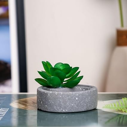 1 Pc aesthetic Mini Succulent plant with Ceramic cement Pot for indoor,flower succulent pot,Home Corner Decor