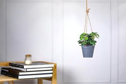 1 Pc Artificial Hanging Succulent Plant with Aesthetic Ceramic Cement Pot,Indoor,Office,and Kitchen-Wall Hanging and Tabletop Decoration Items