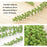 1 Lines Artificial Succulent Plant Flower Wall Hanging Leaf Money Plant Flowers Vine String Lines succulents for Garden, Gifting, Home, Balcony, Living Room for Valentine Decoration(61 cm)