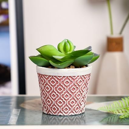 1 PC Mini Echeveria elegans Artificial Aesthetic Green Succulent Plant with Ceramic Pot to Add Charm to Your Homedecor