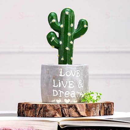 1 Pc Cactus Succulent Indoor Plant with Aesthetic Cement Pot, Artificial Flower Plant - Designer Ceramic Pot for Gifting (Pack of 1) (Small) (Grey and Green Color)