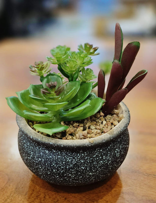 1 Pc Succulent with Ceramic Pot, Artificial Flower Decoration Plant for Home Decor Item, Office, Bedroom, Living Room, Shop Decoration Items (Pack of 1, Green)