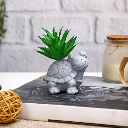 1 Pc Mini Aesthetic Succulent Plant with Ceramic Cement Tortoise Pot for Indoor,
