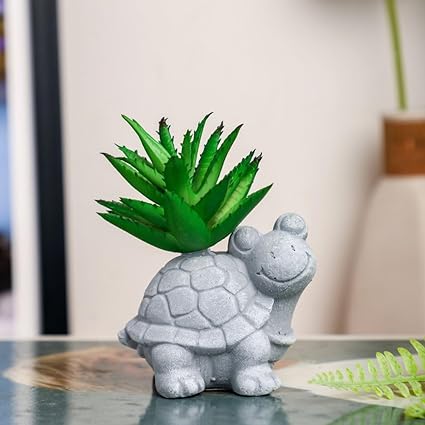 1 Pc Mini Aesthetic Succulent Plant with Ceramic Cement Tortoise Pot for Indoor,