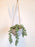1 Pc Artificial Hanging Plant with Plastic Pot,Home Decor-Decorative Pot for Living Room,Wall Hanging,balcony,Succulents Plants Artificial Plant