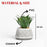 Mini Agave Artificial Green Indoor Succulent Plant with Aesthetic Ceramic Pot to Add Charm to Your Homedecor