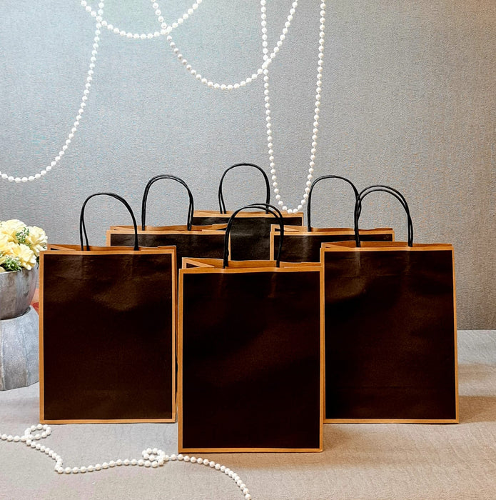 20 Pcs Medium Size BLACK X4 inch) Paper Bags With Handle Gift Paper bag, Carry Bags, gift For Valentine Gifting, marriage Return Gifts,