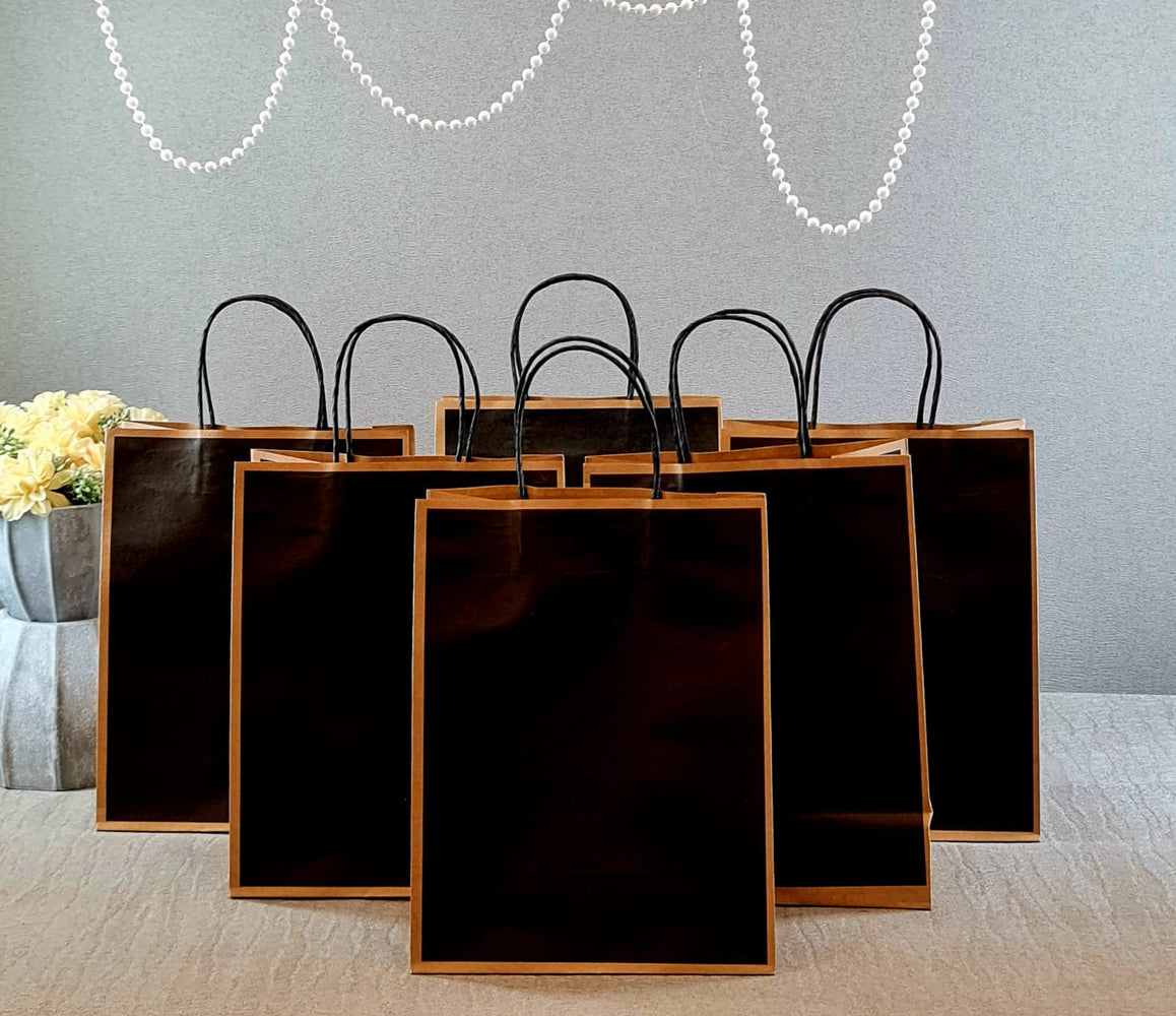 20 Pcs Medium Size BLACK X4 inch) Paper Bags With Handle