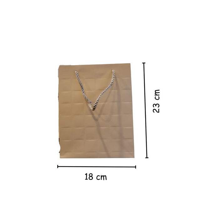 Medium Size Paper Bag With Handle 23 x 11 x 18 cm Gift Paper bag, Carry Bags, gift bag, gift for Birthday, gift for Festivals, Season's Greetings and other Events(Off-White)