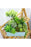 Artificial Succulent Heads Small Mini Plants,Plant Add Charm to Your Home Decor