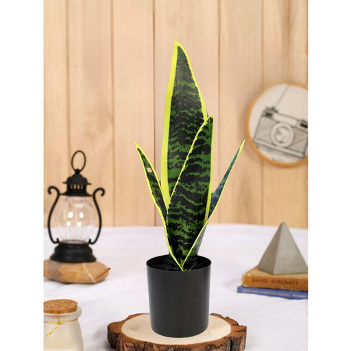 1 Piece Artificial Snake Plant with Pot, Artificial Flower Decoration Plant succulent for Home Decor Item, Office, Bedroom, Living Room, Shop Decoration Items (Pack of 1, Green)