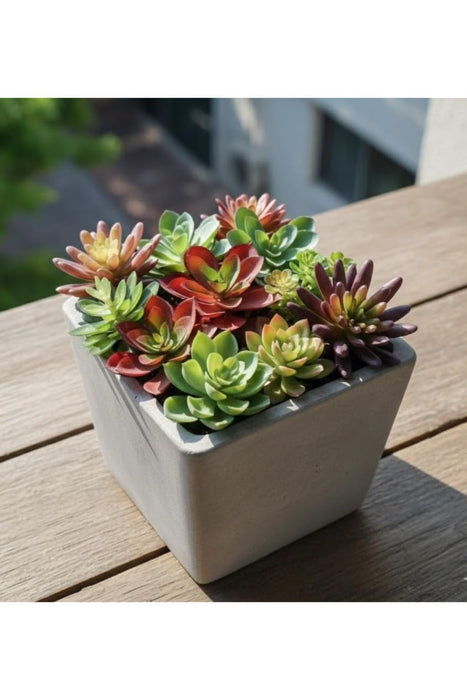 Artificial Succulent Heads Small Mini Plants,Plant Add Charm to Your Home Decor