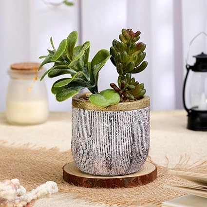 1 PCS Mini Echeveria elegans Artificial  Green Succulent Plant with Ceramic Pot (Pack of 1)