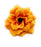 Artificial Eden Rose Flowers Head for Home Decoration and Craft (4 cm)