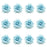 Artificial Eden Rose Flowers Head for Home Decoration and Craft (4 cm)
