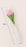 Artificial Twister (Pipe Cleaner ) Tulip Flower Bouquet | Single Wrapped Tulip Gift Set with Transparent Packing | Ready-to-Gift Flower for Valentine, Wedding & Return Gifts