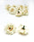 Artificial Eden Rose Flowers Head for Home Decoration and Craft (4 cm)