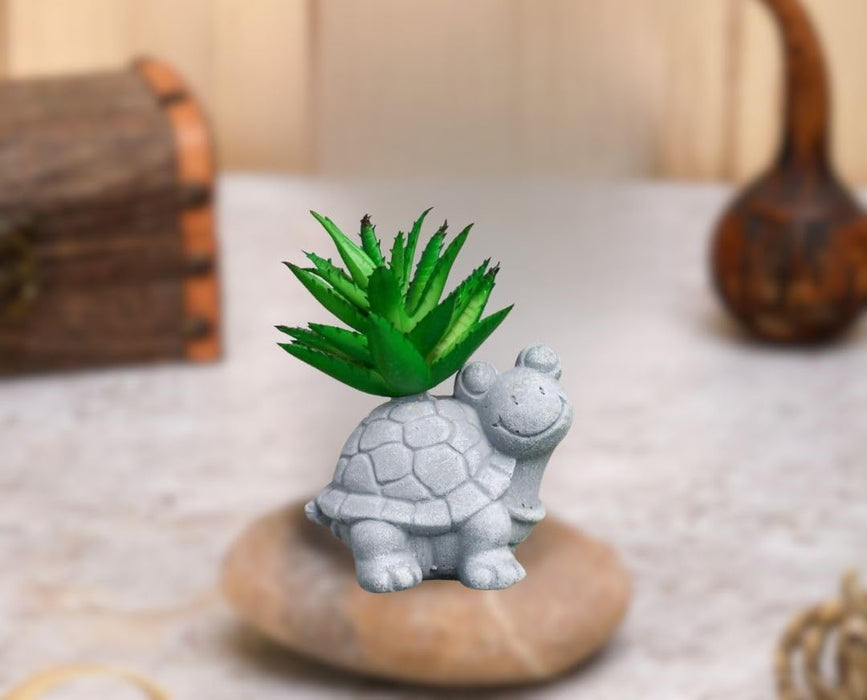 Mini Aesthetic Succulent Plant with Ceramic Cement Tortoise Pot for Indoor,