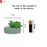 aesthetic Mini Succulent plant with Ceramic cement Pot for indoor,flower succulent pot,Home Corner Decor