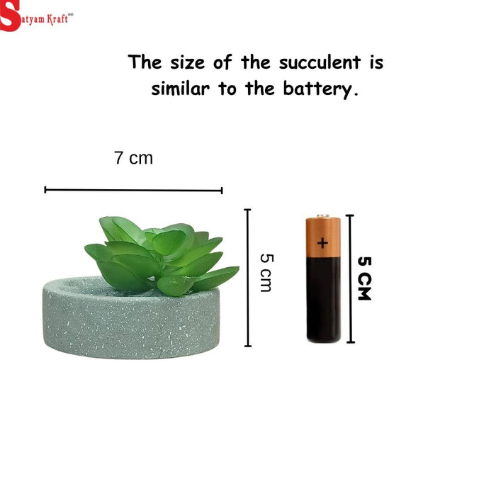 aesthetic Mini Succulent plant with Ceramic cement Pot for indoor,flower succulent pot,Home Corner Decor