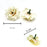 Artificial Eden Rose Flowers Head for Home Decoration and Craft (4 cm)