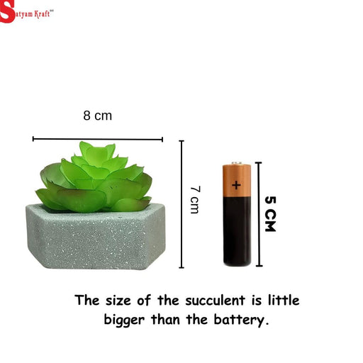 Mini Aesthetic Succulent Plant with Ceramic Cement Pot for Indoor, to Add Charm to Your Homedecor