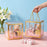 Clear Transparent Gift Box with Frame and Rope Handle for Hampers, Wedding Gifts, Return Gifts, Chocolates, Dry Fruits, Cosmetics, Baby Shower, Festive Gifting & Premium Gift Packaging (12 cm x 12 cm x 12 cm)
