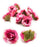Artificial Small Rose Flowers Fake Fabric Head Rose Flowers For Home Decoration, Gift, Mandir Pooja Table, Cake Decor, Bouquet Making, Backdrop, DIY Art Craft, Diwali Items Material (4 cm)