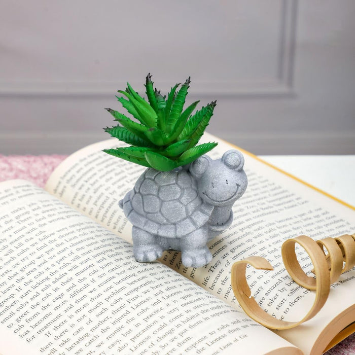 Mini Aesthetic Succulent Plant with Ceramic Cement Tortoise Pot for Indoor,