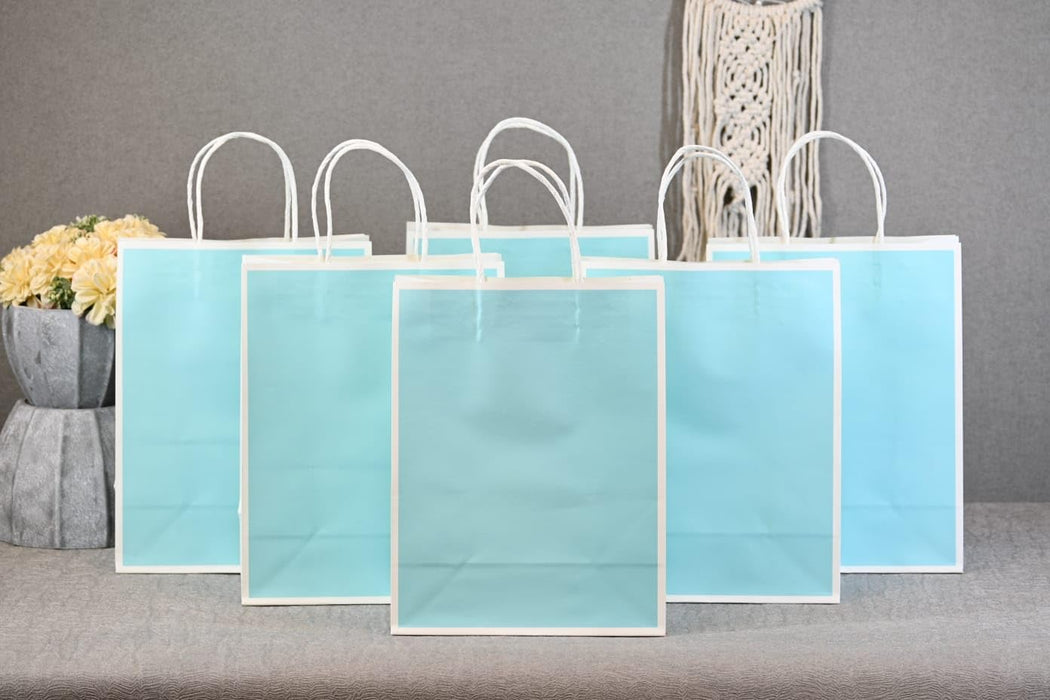 Medium Size (27 X21 X11 cm) Paper Bags With Handle Gift Paper bag, Carry Bags, gift For Valentine Gifting, marriage Return Gifts, Birthday, Wedding, Party, Season's Greetings