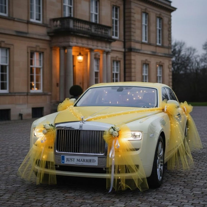 Multi Purpose Net Fabric Cloth for Decoration, for Parties, Costumes, Gift Packing, Party Decor, Backdrop Material for mandap, Pooja Background Stand