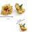 Artificial Eden Rose Flowers Head for Home Decoration and Craft (4 cm)