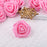 Artificial Floating Rose Flower Head Foam Big Fake Beach Water Flowers, Pooja Thali, Festival and Events, Home, Table, Badroom, Pooja room, Diwali decoration items and Diy Craft