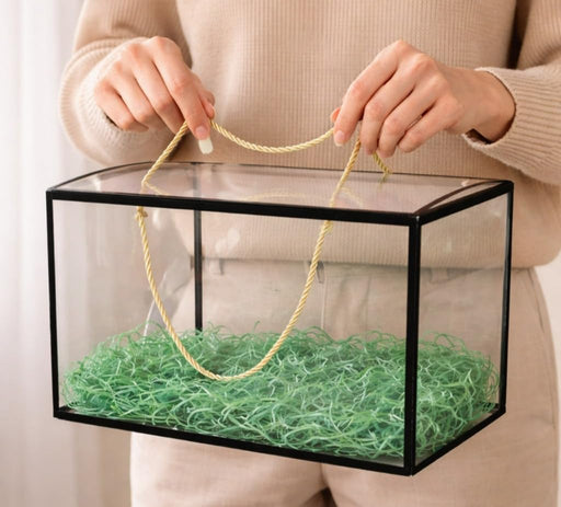 Rectangle Shape Big Size Trasparent Black border Bag Goodie Bags Gift bag, gift For new year Gifting, Diwali,marriage Return Gifts, Birthday, Wedding, Party, Season's Greetings(Big) (Black) (30 x 15 x 20)cm