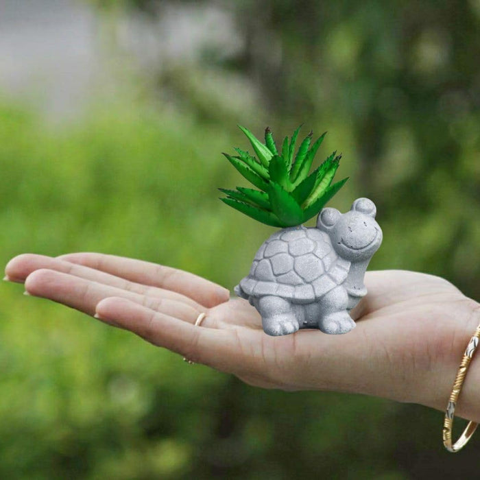Mini Aesthetic Succulent Plant with Ceramic Cement Tortoise Pot for Indoor,