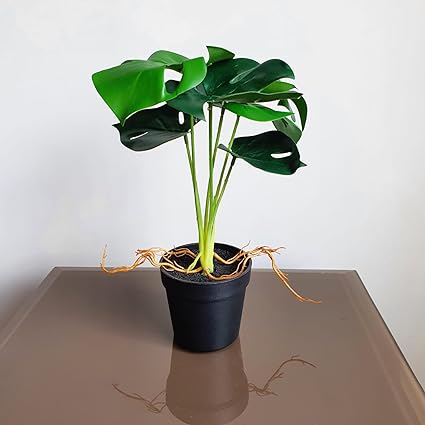 SATYAM KRAFT 1 Pc Plant with Aesthetic Plastic Pot - Monstera Plant - Artificial Flower Indoor Decoration Plant for Home Decor (6 Leaves)