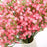 Artificial Baby’s Breath Gypsy Flowers | Gypsophila Bouquet for Home Decor, Bedroom, Balcony, Garden, Birthday Surprise & Wedding Décoration (28.5 cm)