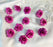 Artificial Eden Rose Flowers Head for Home Decoration and Craft (4 cm)