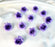 Artificial Eden Rose Flowers Head for Home Decoration and Craft (4 cm)