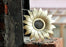 Sunflower Design Wall Mirror Hanging Sunflower Shape Design Round Frame For Home Decor,Hanging In Bedroom,Living Room With Hook For Hanging On Walls For Home Decorations (Framed) (Brown,Pack Of 1)
