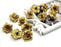 Artificial Eden Rose Flowers Head for Home Decoration and Craft (4 cm)