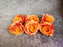 12 pcs Artificial Flower Persian Buttercup Heads Rose Flowers for Home Decoration, Gift, Mandir Pooja Table, Cake Decor, Bouquet Making, Backdrop, DIY Art Craft (Pack of 12)