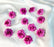 Artificial Eden Rose Flowers Head for Home Decoration and Craft (4 cm)