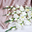 Butterfly Orchid Flower Sticks Artificial Flower Bunch for Gifting, Home Decor, Bedroom, Garden, Balcony,Table Top, Office Corner Decoration and Craft(Pack of 5)