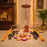 Janmashtami Special Combo | DIY Rangoli, Nadachhadi Hanging, Foldable Singhashan, Galgota Line, Jhula & 13-Pcs Krishna Jhanki Set