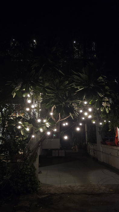 10 Bulb Series Light | 10 Ft Long Extendable String Light | 100% Copper | Made in India for Diwali & Weddings