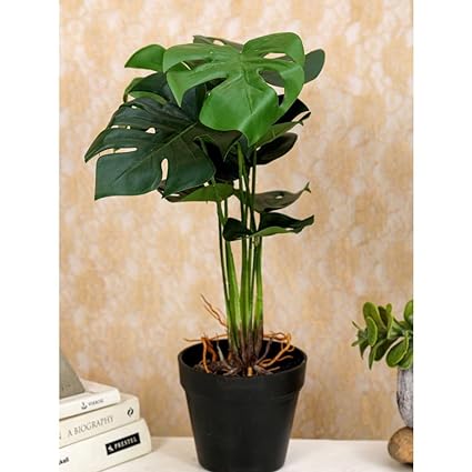 1 Pc Plant with Aesthetic Plastic Pot - Monstera Plant - Artificial Flower Indoor Decoration Plant for Home Decor (9 Leaves)