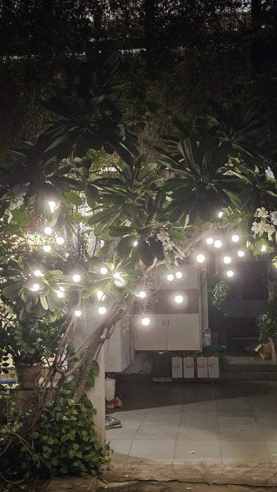 10 Bulb Series Light | 10 Ft Long Extendable String Light | 100% Copper | Made in India for Diwali & Weddings